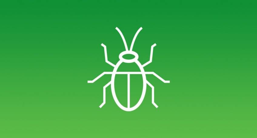 Disinfestazione